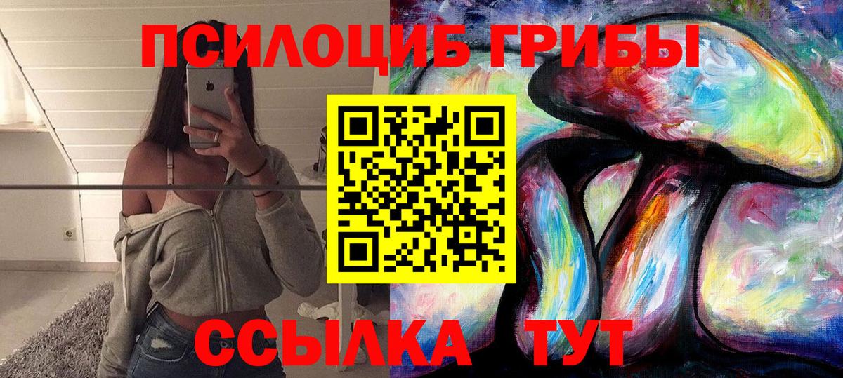 Псилоцибиновые грибы Cubensis  Вход с VPN  Красноармейск 